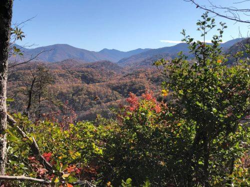 Villa Modern Style, Arcade, Fire Pit, Pet Friendly Pigeon Forge Esterno foto