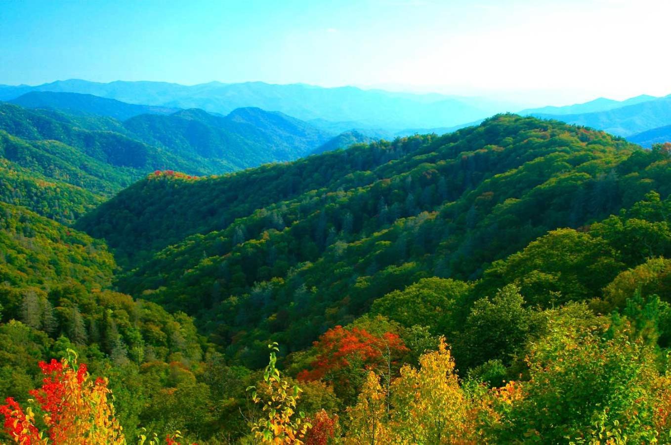 Villa Modern Style, Arcade, Fire Pit, Pet Friendly Pigeon Forge Esterno foto